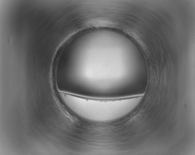 X0000070820391200606160921