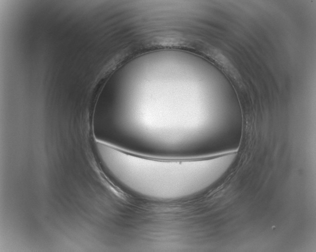 X0000070820397200606160921