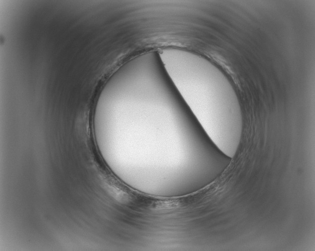 X0000070820398200606160921