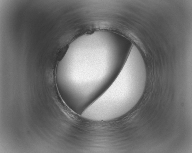 X0000070820401200606160921