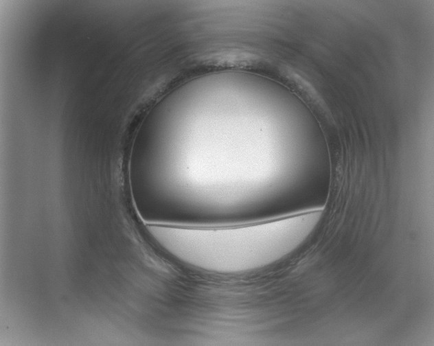 X0000070820403200606160921