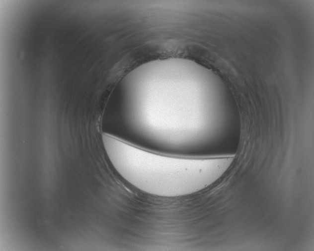 X0000070820432200606160920