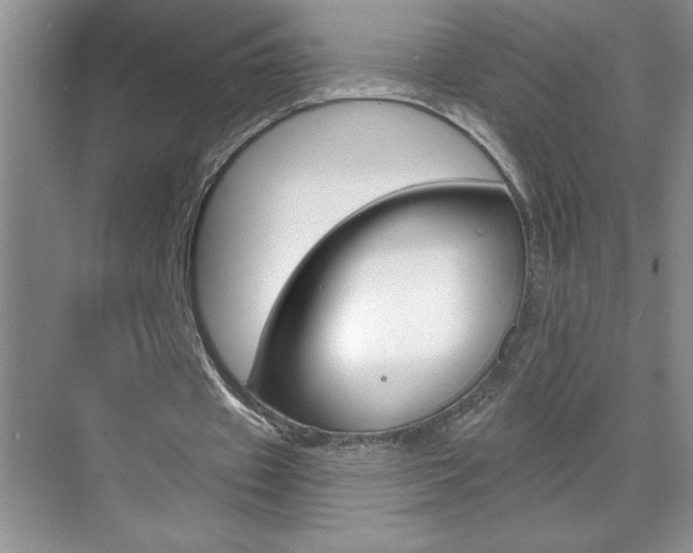 X0000070820433200606160919