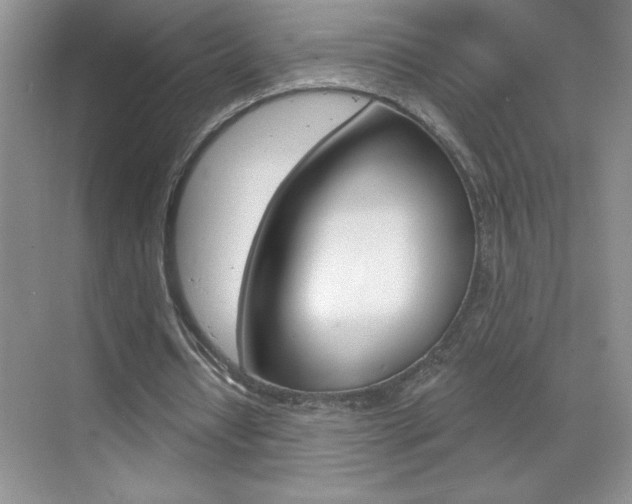 X0000070820434200606160919