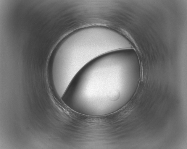X0000070820435200606160919