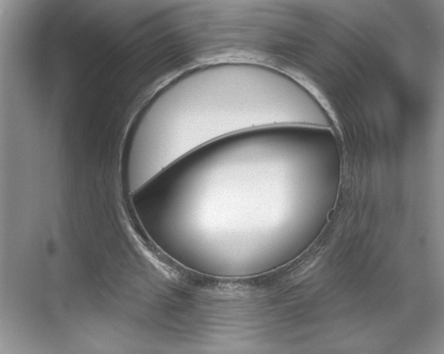 X0000070820437200606160920