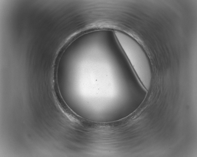 X0000070820438200606160920