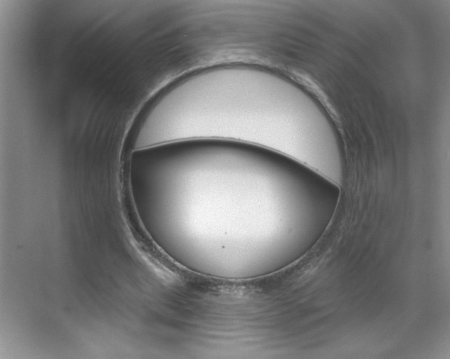X0000070820439200606160920