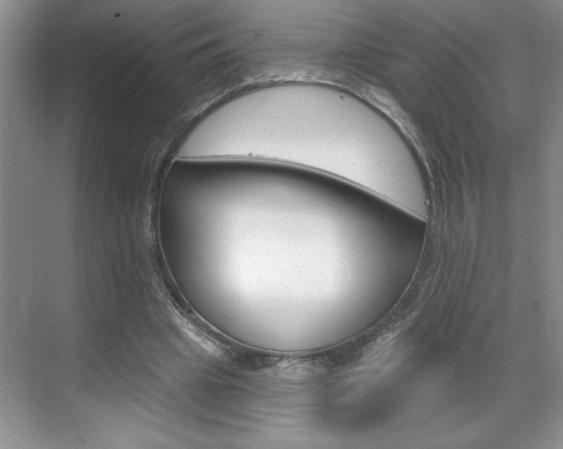 X0000070820441200606160920