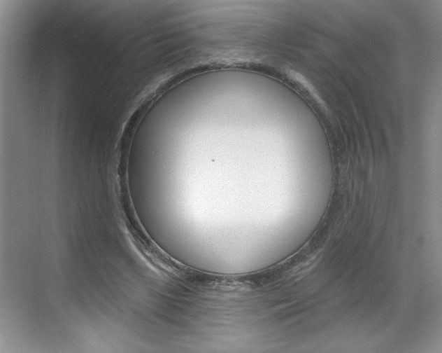 X0000070820443200606160920