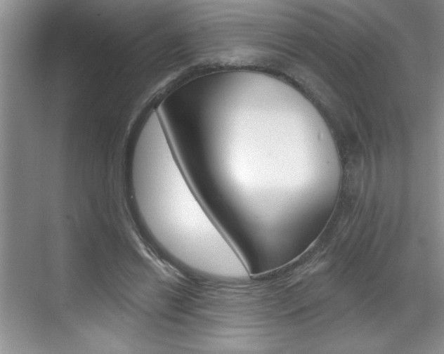X0000070820446200606160920