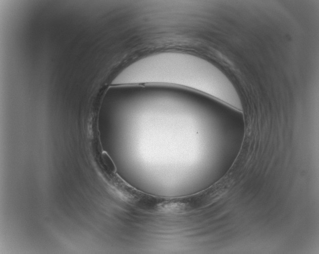 X0000070820452200606160920
