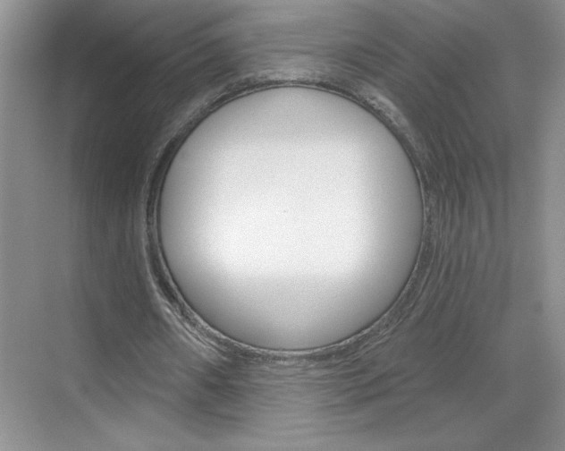X0000070820482200606160919