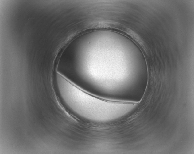 X0000070820485200606160919