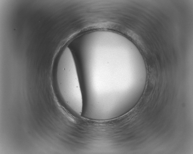 X0000070820486200606160919