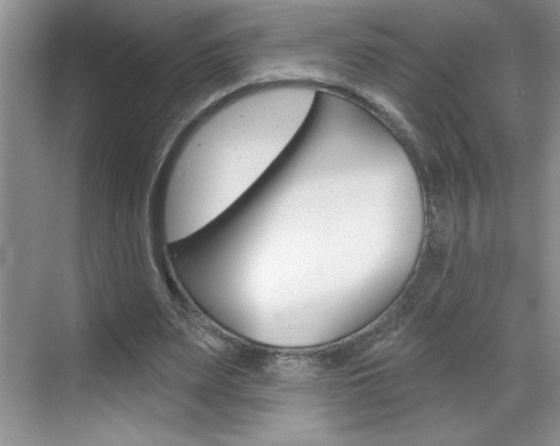 X0000070820487200606160919