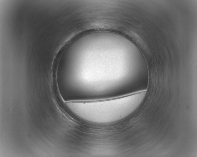 X0000070820488200606160919