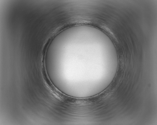 X0000070820490200606160919
