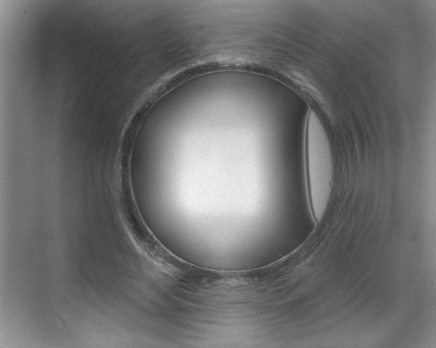 X0000070820492200606160919