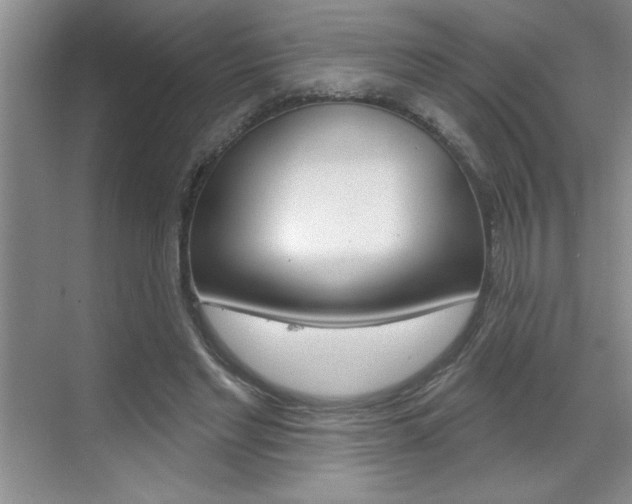 X0000070820493200606160919