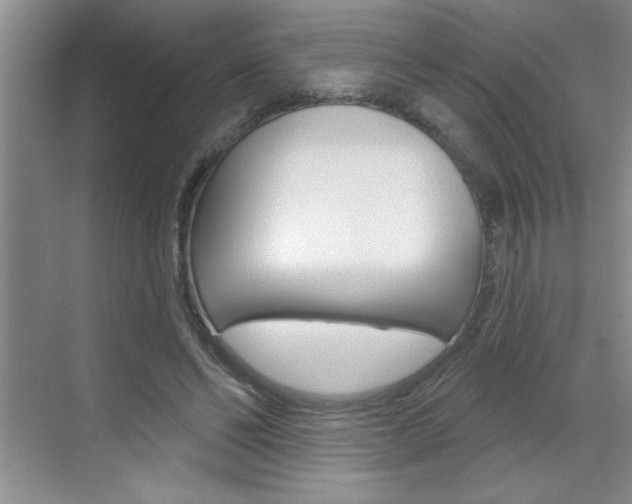 X0000070820494200606160919