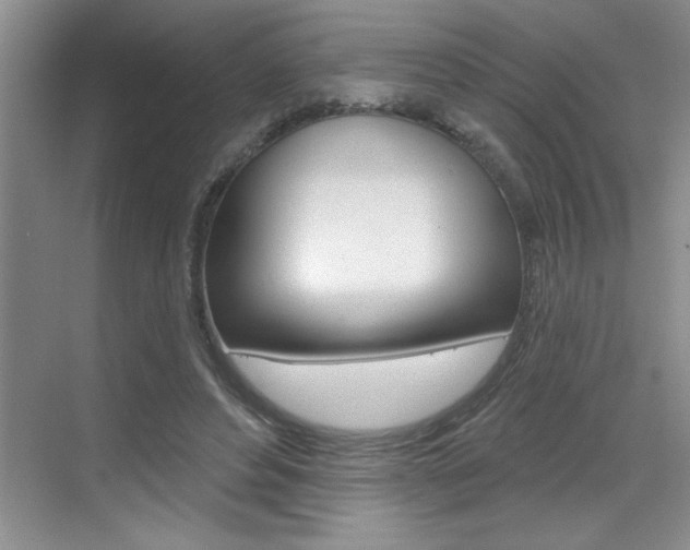 X0000070820496200606160919
