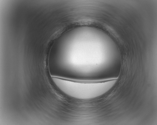 X0000070820501200606160919