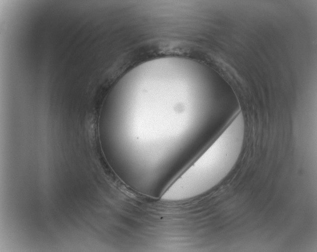 X0000070820513200606160919