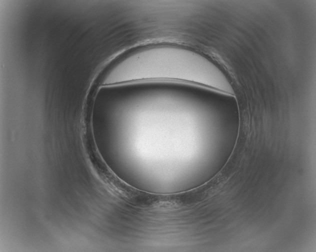 X0000070820536200606160918