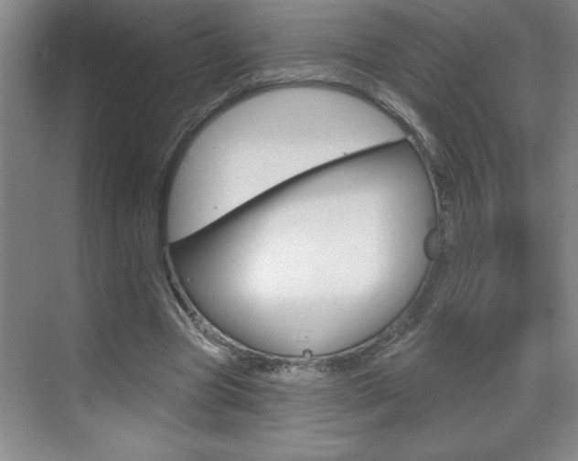 X0000070820537200606160918