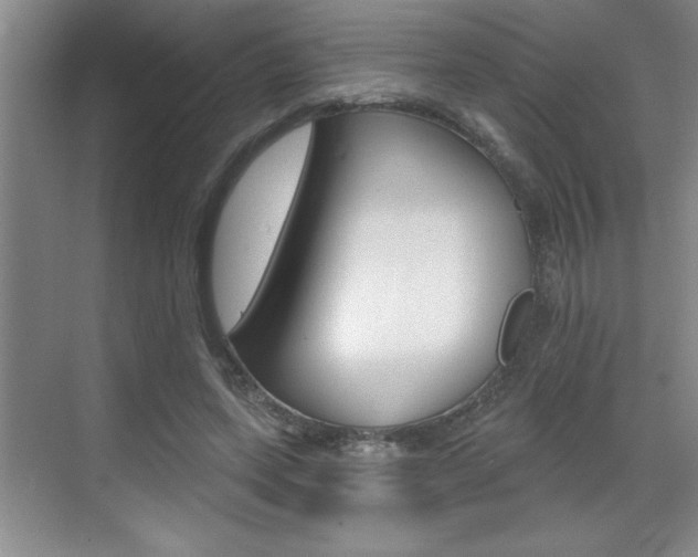 X0000070820543200606160918