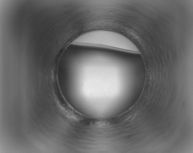 X0000070820546200606160918