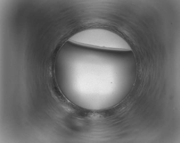 X0000070820547200606160918