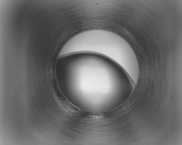 X0000070820552200606160918