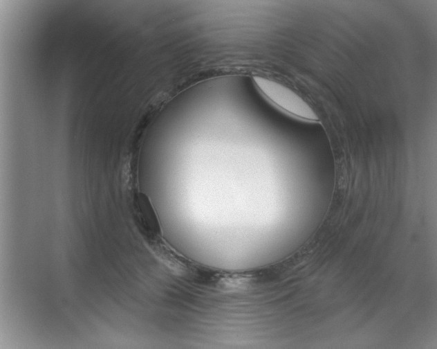 X0000070820560200606160918