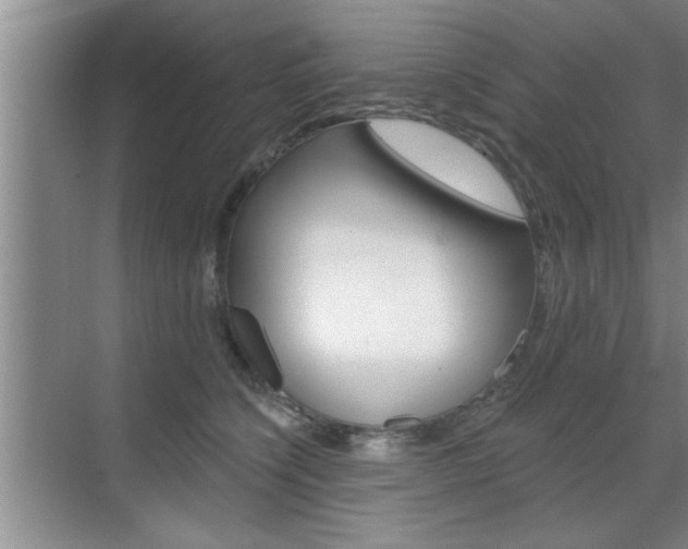 X0000070820564200606160918