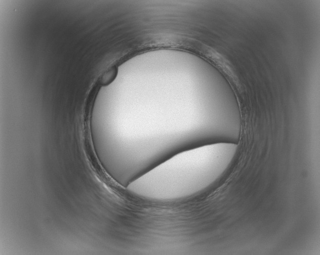 X0000070820578200606160918