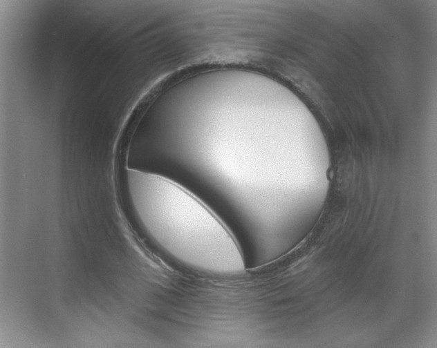 X0000070820584200606160918