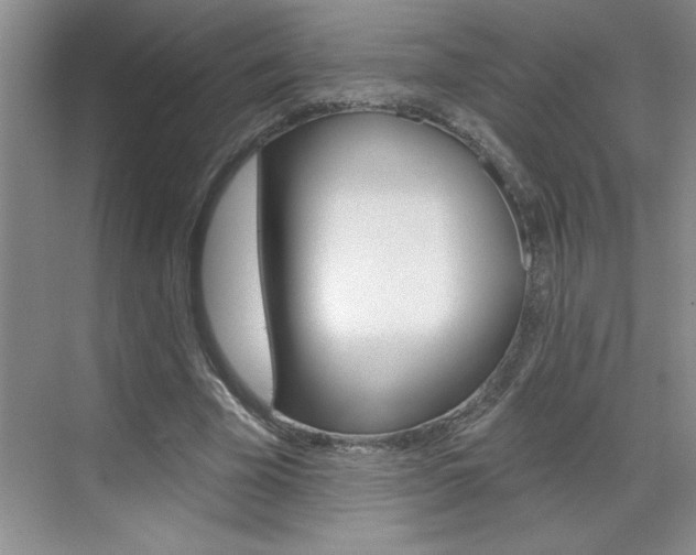 X0000070820585200606160918