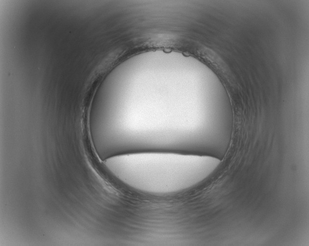 X0000070820586200606160918