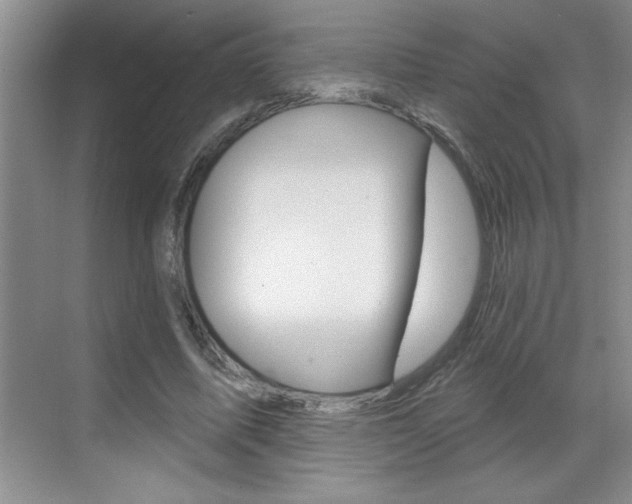 X0000070820587200606160918