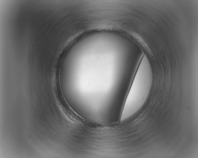 X0000070820588200606160918