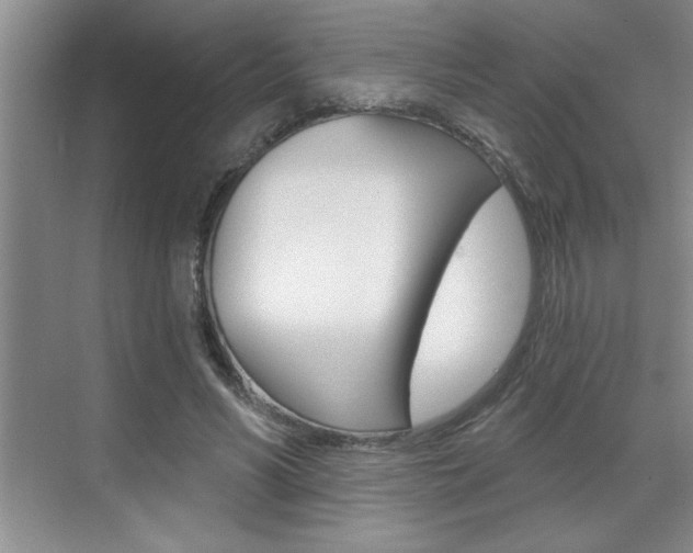 X0000070820590200606160918