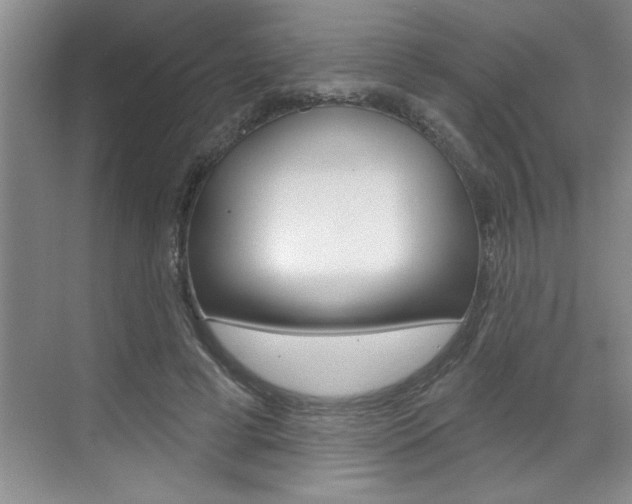 X0000070820593200606160918