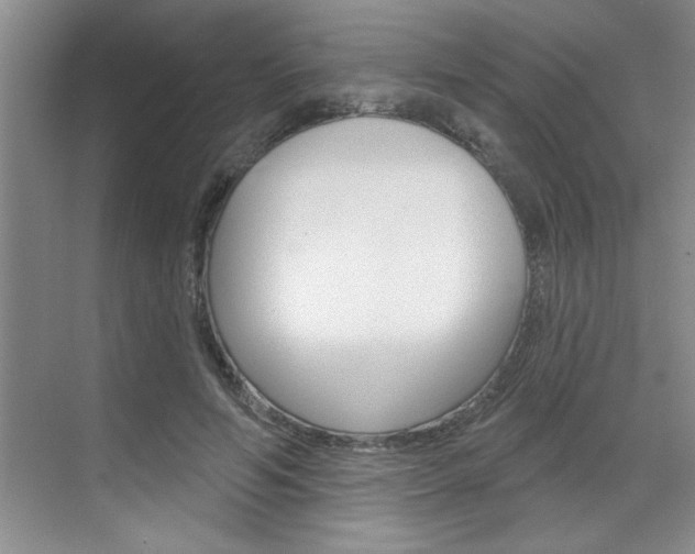 X0000070820594200606160918