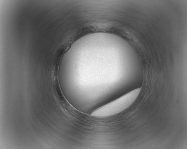 X0000070820599200606160917