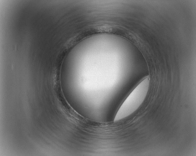X0000070820600200606160917
