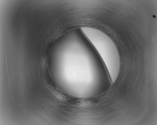 X0000070820601200606160917