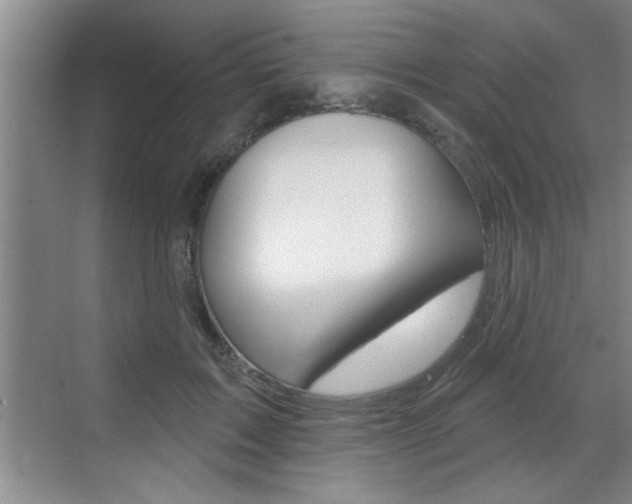 X0000070820603200606160917