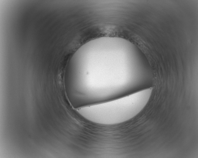 X0000070820611200606160917